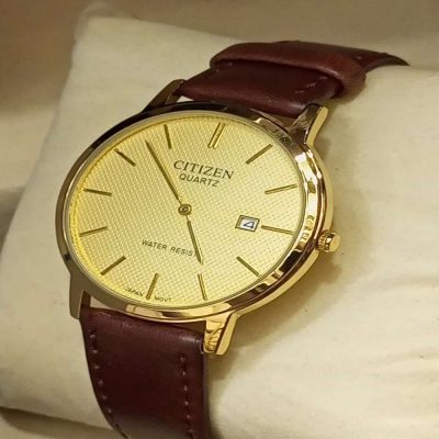Citizen Brown Gold Men’s Wrist Watch Master Copy